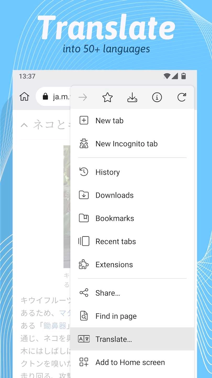Kiwi浏览器中文 图4