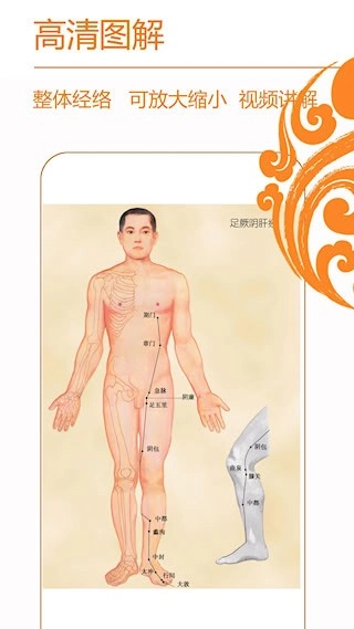 经络养生安卓版图2