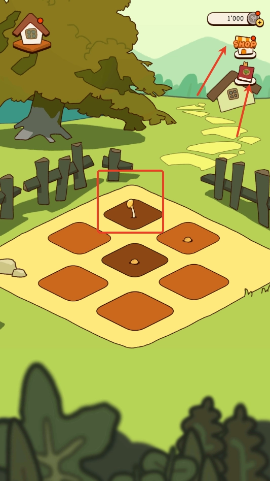 有机蔬菜农场游戏(3)