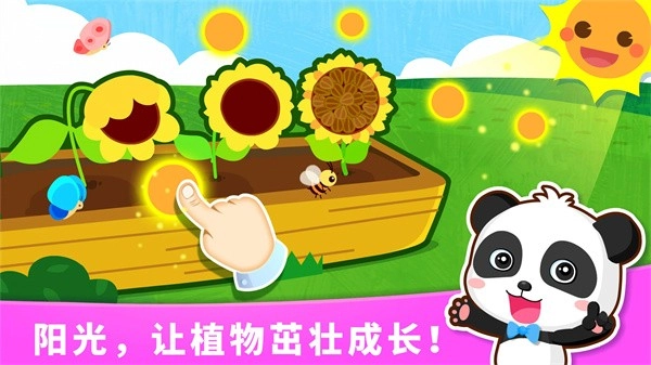 宝宝天气认知直装版图2