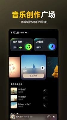 苏诺之音正版图4