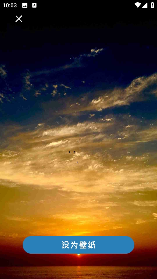 小猪壁纸大全免费版图1