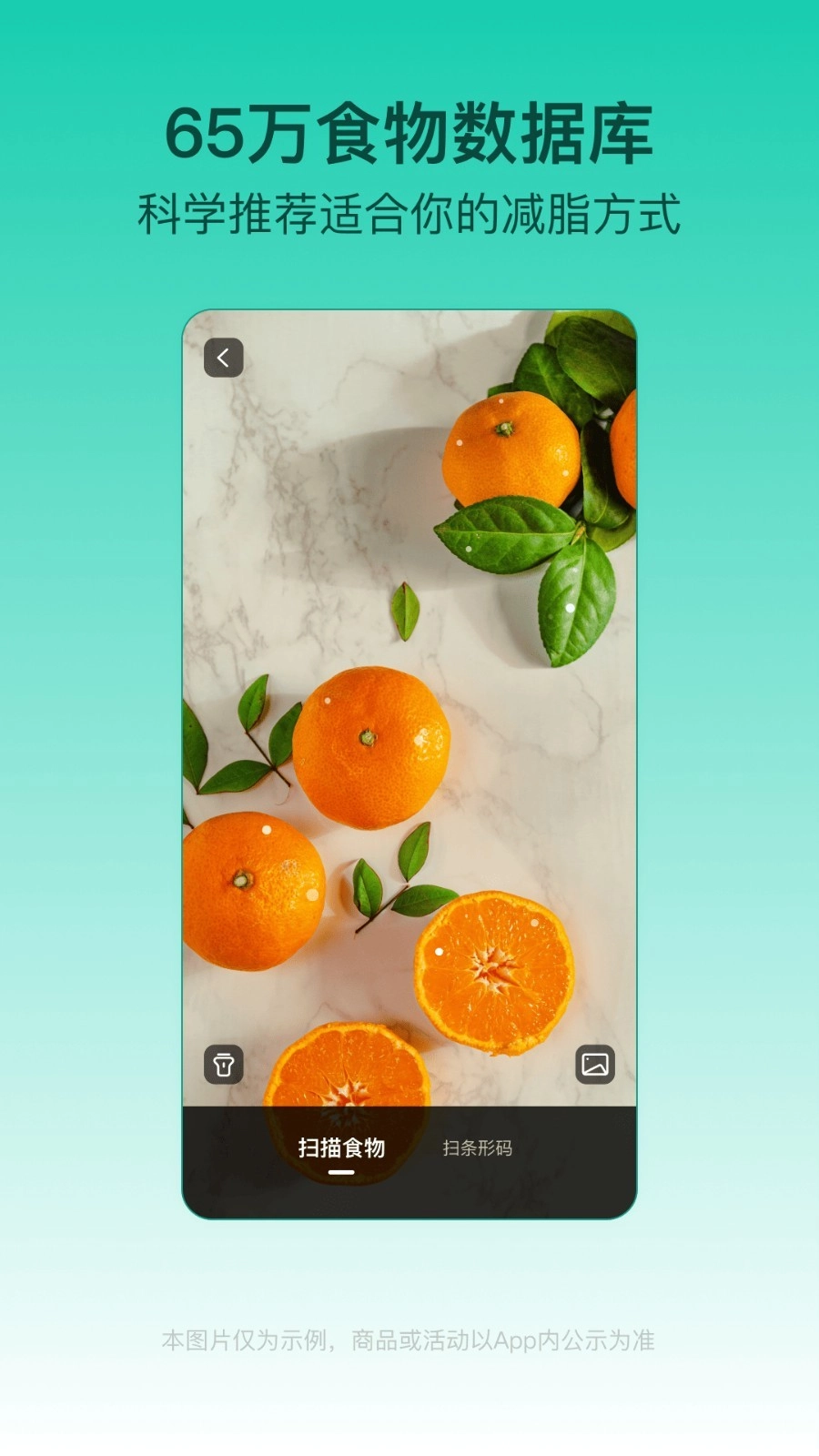 LEFU热量减肥法中文版5