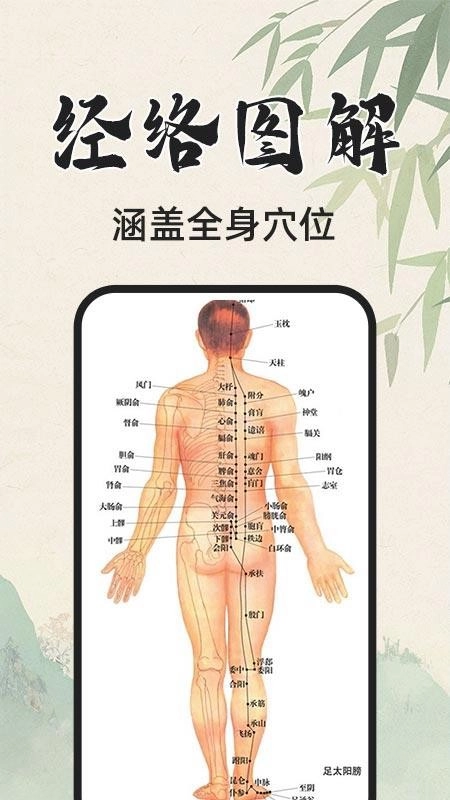 3D人体解剖图图4