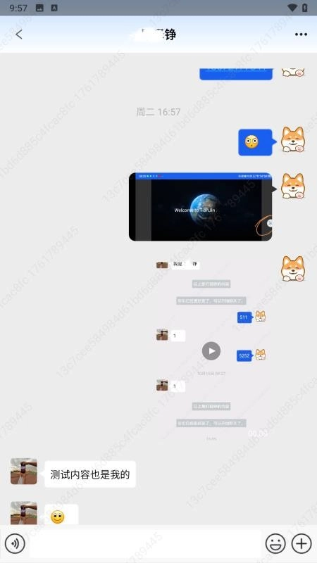 云智港航手机版图2