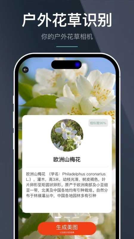 指南针全能王手机版图1