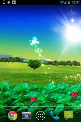 荷花壁纸最新版截图0