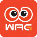 看個比賽免費版