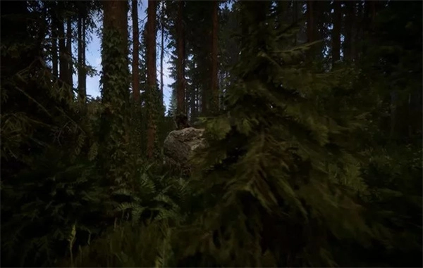 森林之子mod菜单(4)