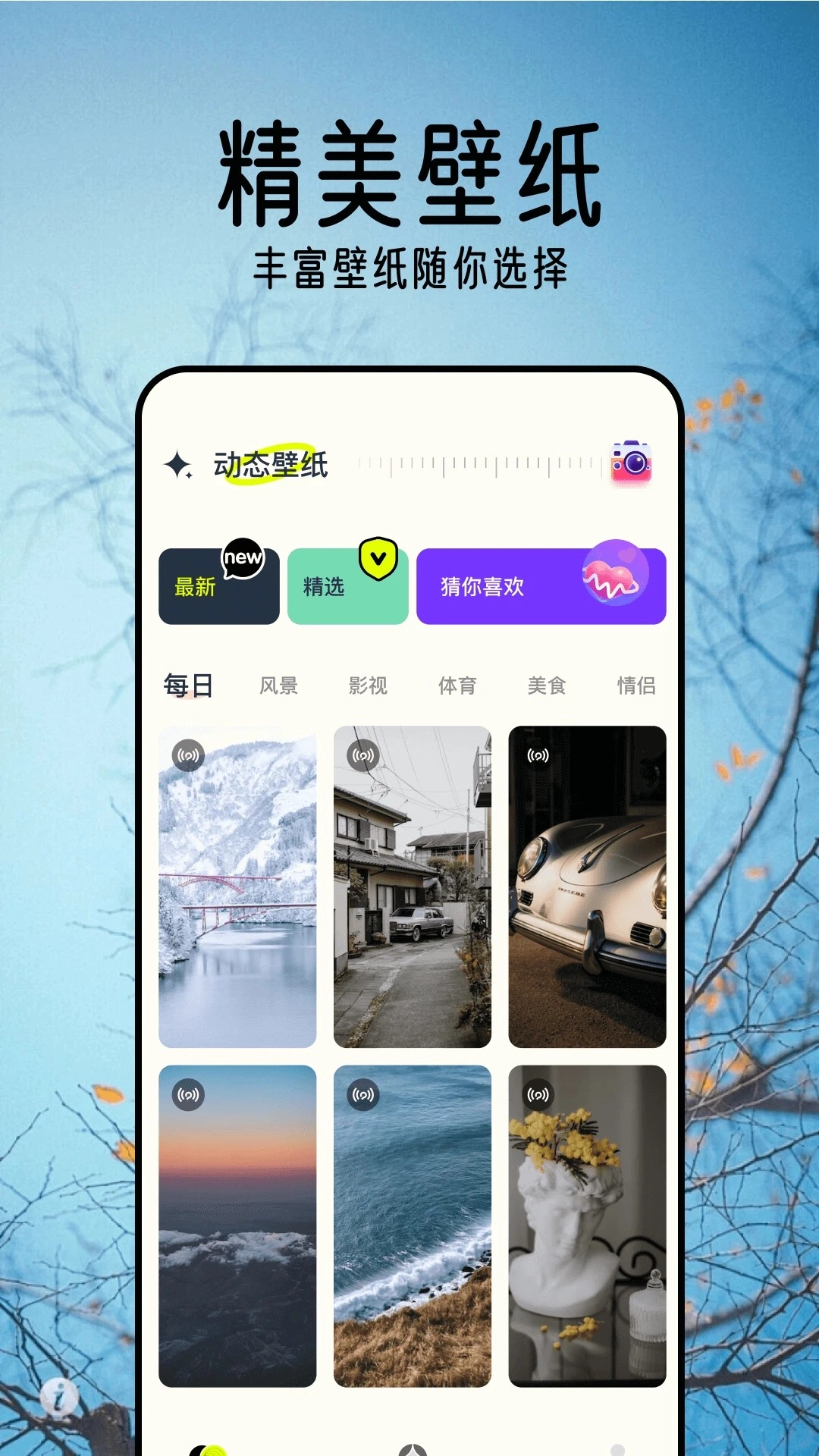 壁纸精灵