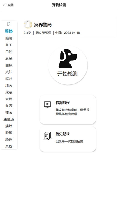 了不起的派特萌图4