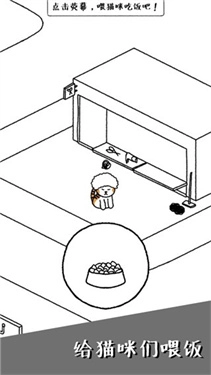 猫咪真的很可爱图2