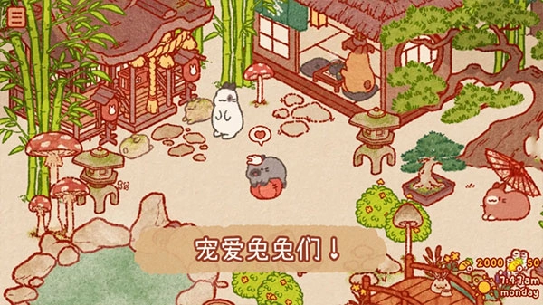 兔兔岛安卓版截图3