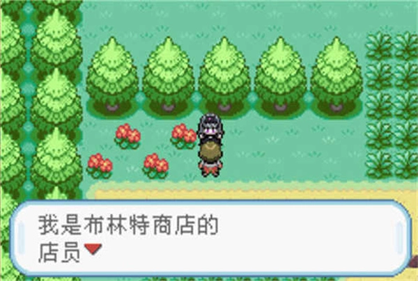 口袋妖怪火红安卓版图4