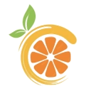 citron模拟器正版