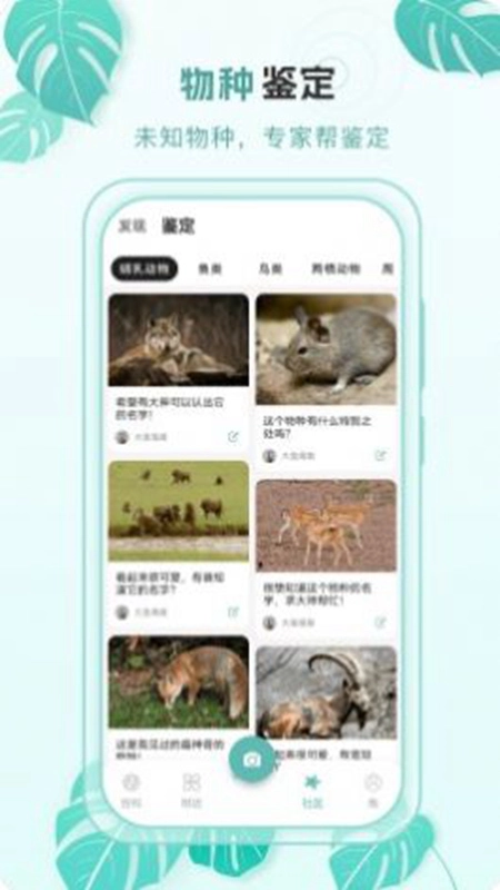 百科物语软件手机版
