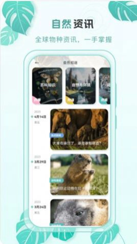 百科物语软件手机版