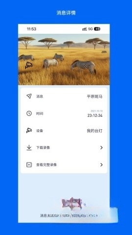 Wosee官方版下载