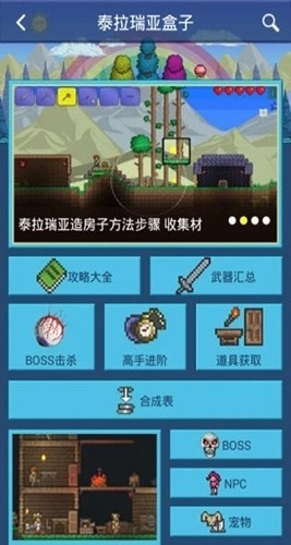 泰拉瑞亚盒子正版图3