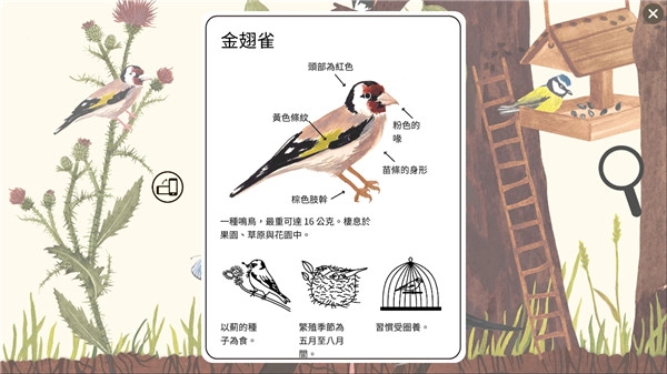 小棕鼠的自然生态百科无广告版图5