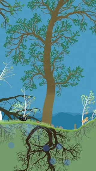 小松林(森林生态模拟)  手机版