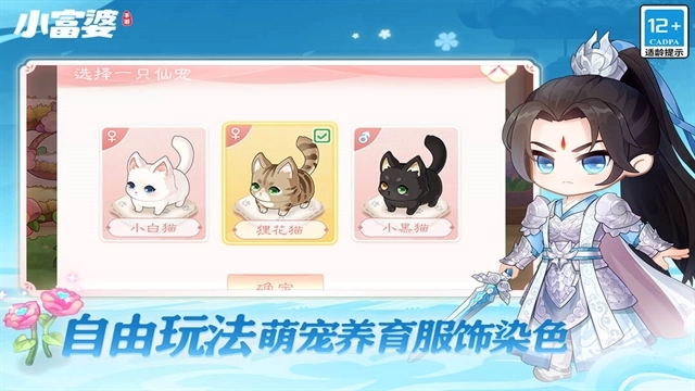 小富婆游戏正版