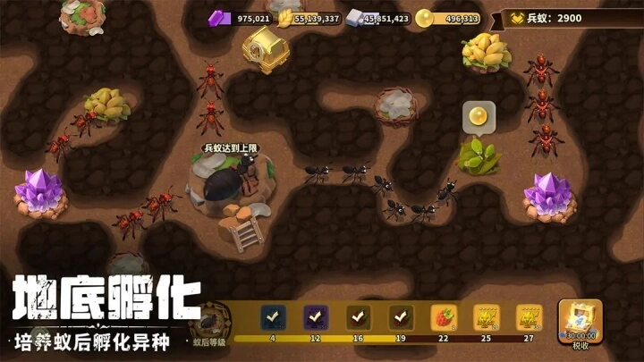 蚁族崛起图2