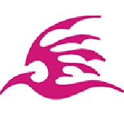 飞极速在线安卓官方版