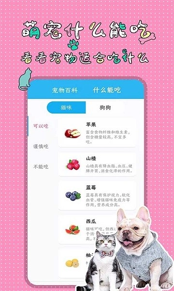 人猫人狗翻译交流器试用版图2