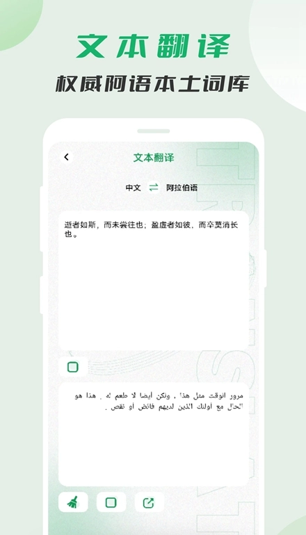 阿拉伯语翻译软件安卓版图3