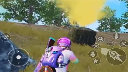 荒野吃鸡战场(荒野吃鸡战) 手机版(2)