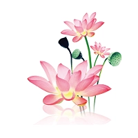 水墨工具箱安卓版 V9.9.9