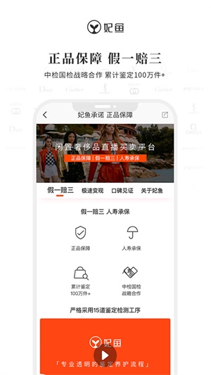 妃鱼软件无广告版图2