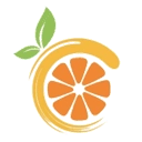 Citron模拟器 e249