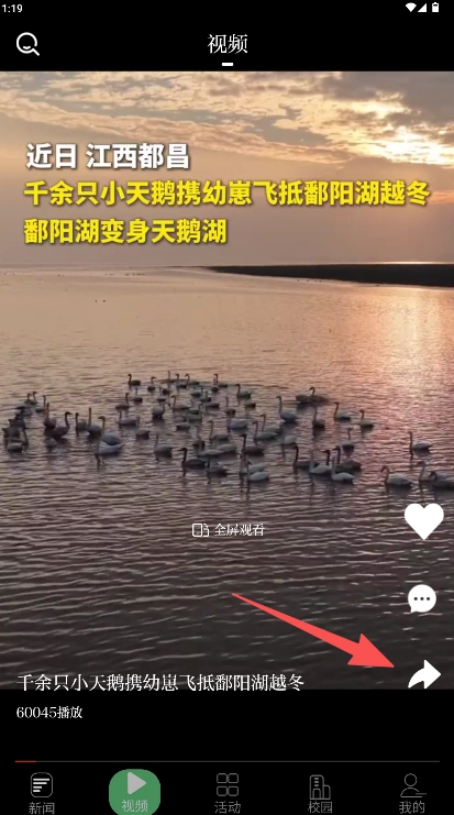 青新闻官方版下载