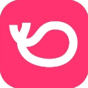 灰豚数据免费版