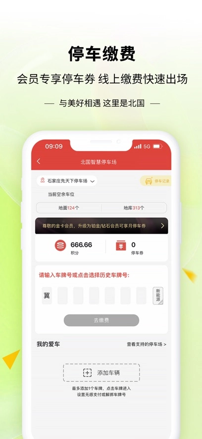 掌尚北国最新版(4)