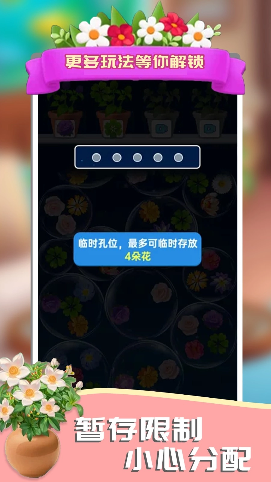 这花太棒了