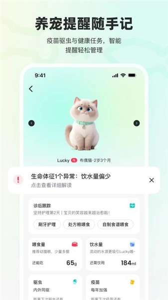宠拍档(2)