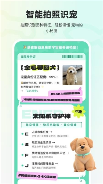 宠拍档(3)