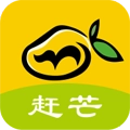 赶芒 V3.25