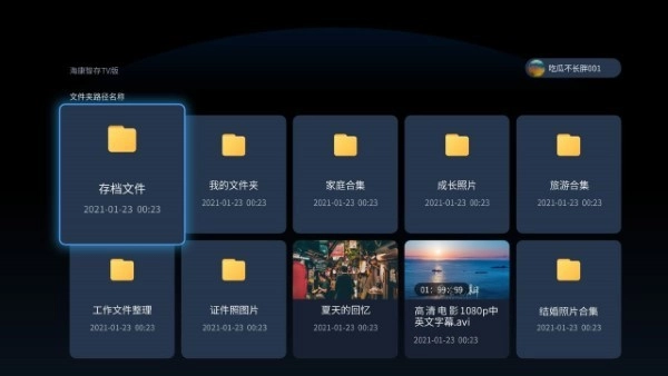 海康智存TV版图1