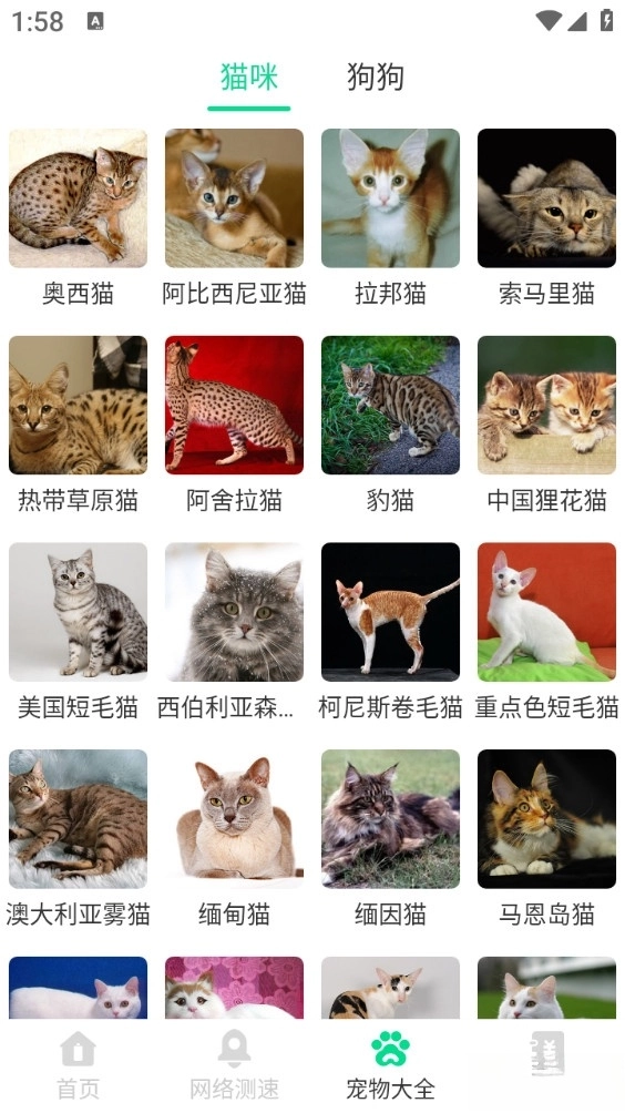 清影电池管家