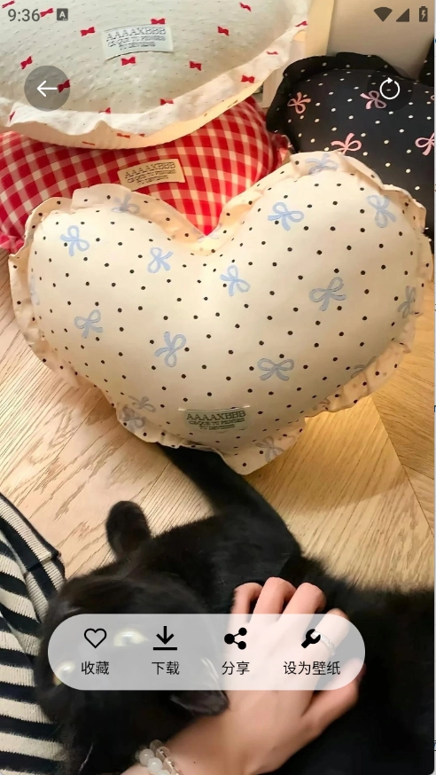 随心手机壁纸安装 