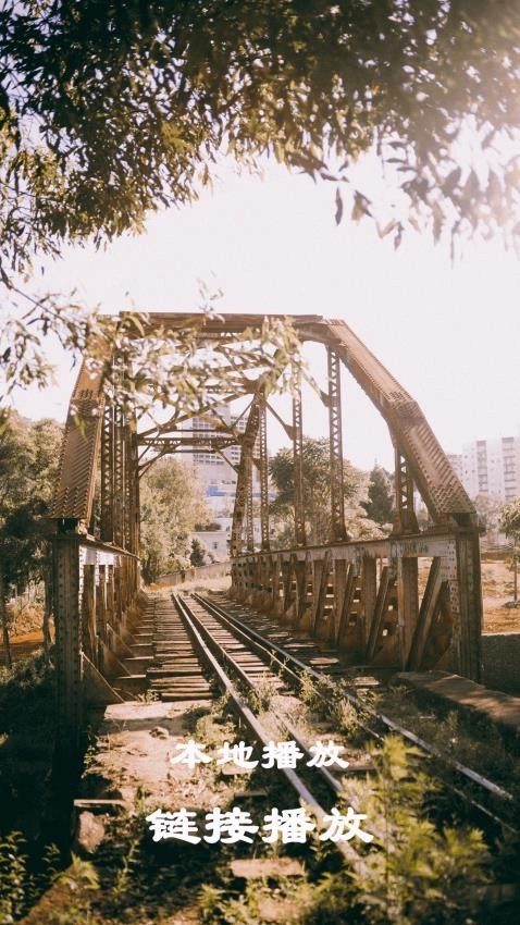 本地视频播放解码直装版图4