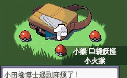 口袋妖怪漆黑的魅影官方正版图5