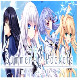 夏日口袋安卓版