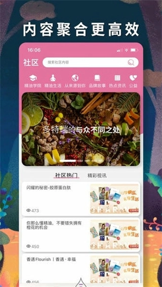 多特瑞(2)