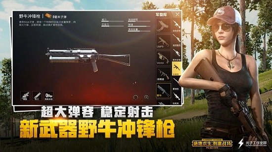 pubg mobile国际服
