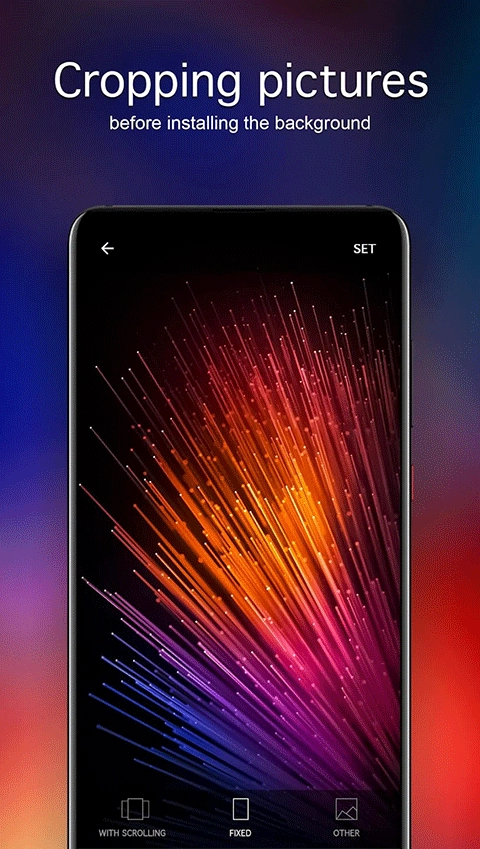小米Wallpaper手机版图3